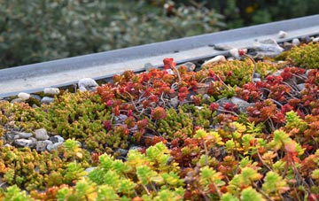 the cost of Loxford green roof installation