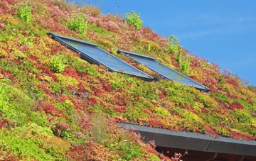 Loxford living roof systems